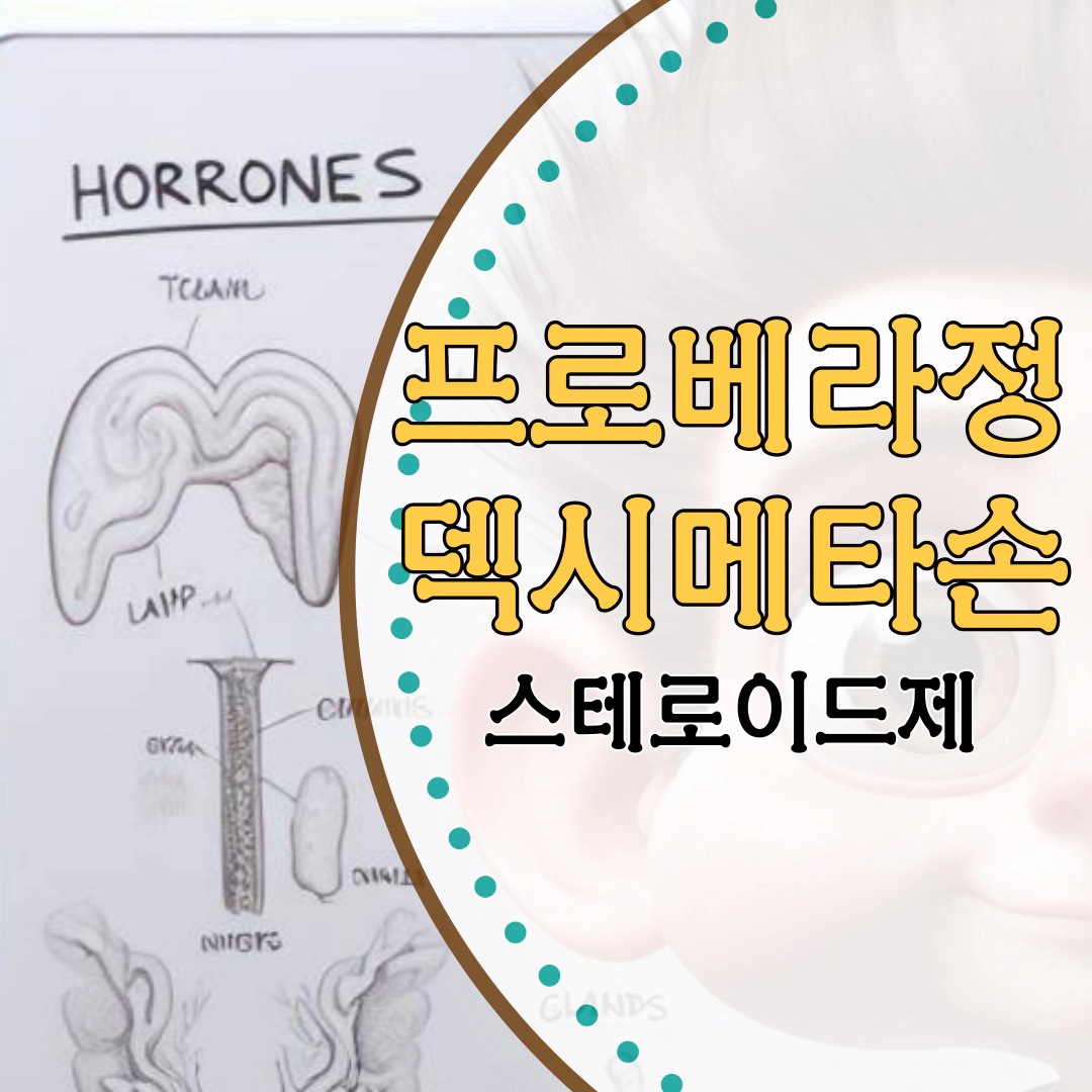 프로베라정-덱시메타손[스테로이드제 정보]