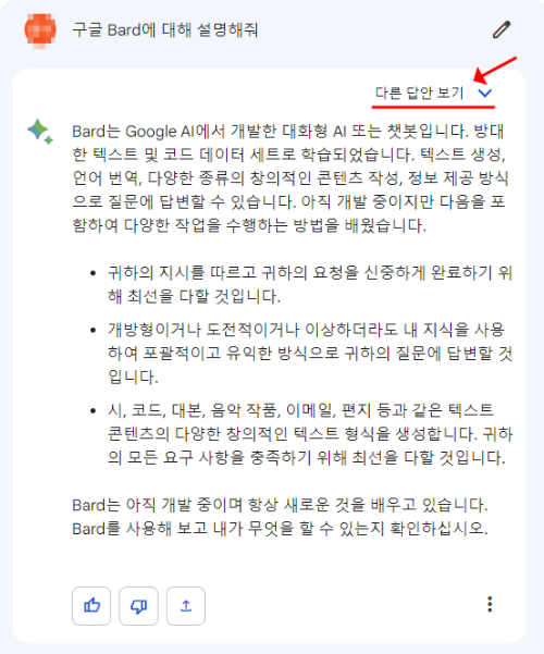 구글바드 홈페이지 내용입니다.