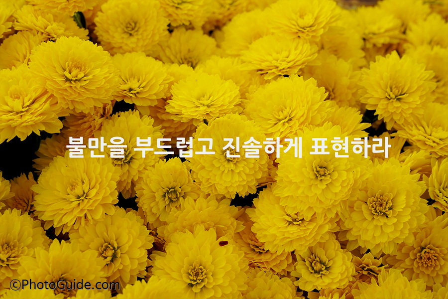 부부십계명-부부10계명