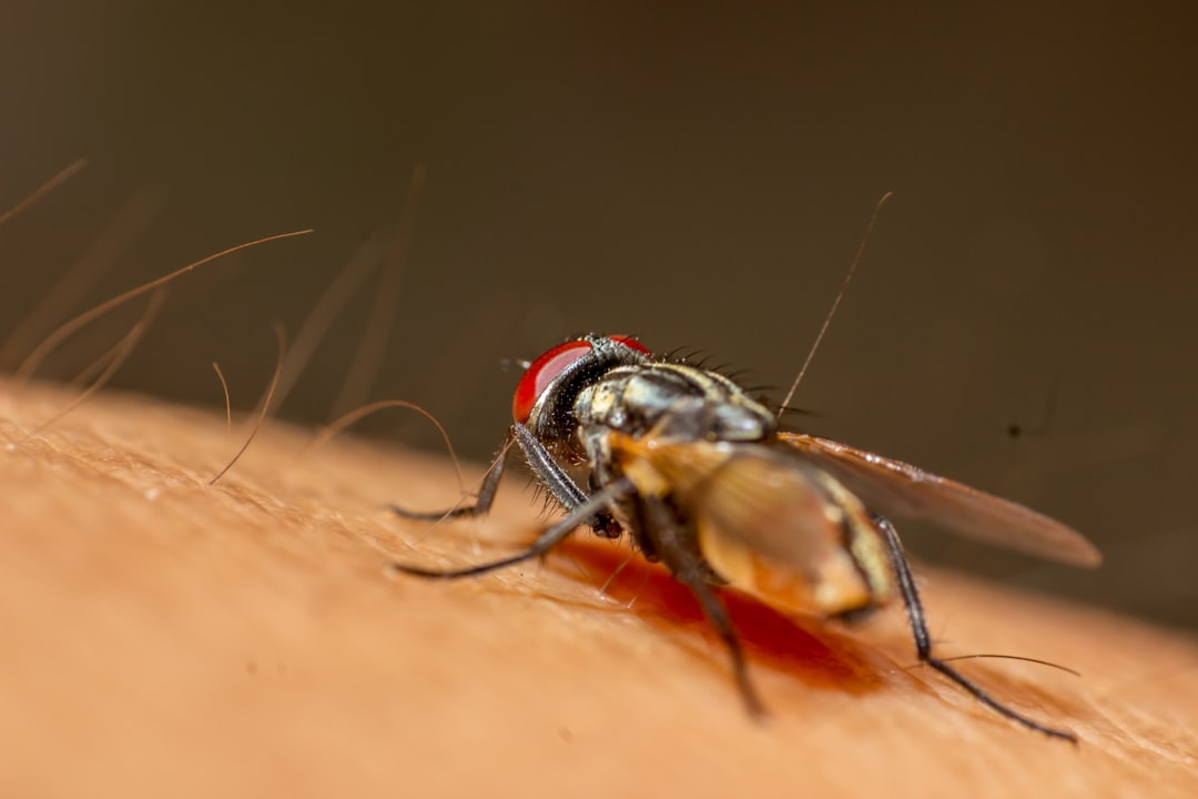 Malaria