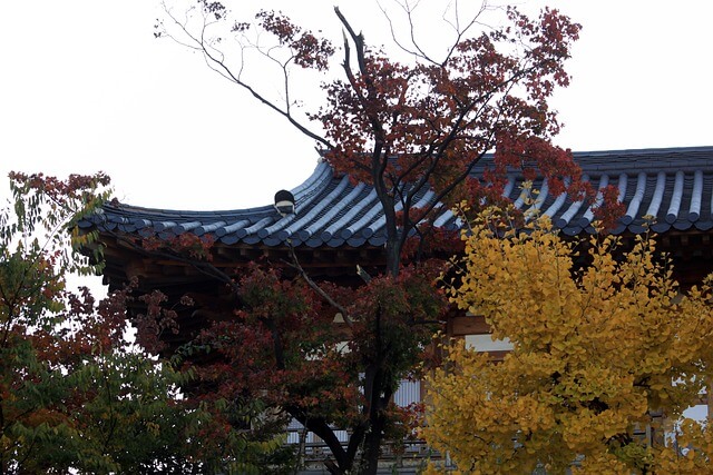 함평 숙소 추천 &ndash; 가족형 숙소부터 커플 펜션까지 정리 (2025 최신)