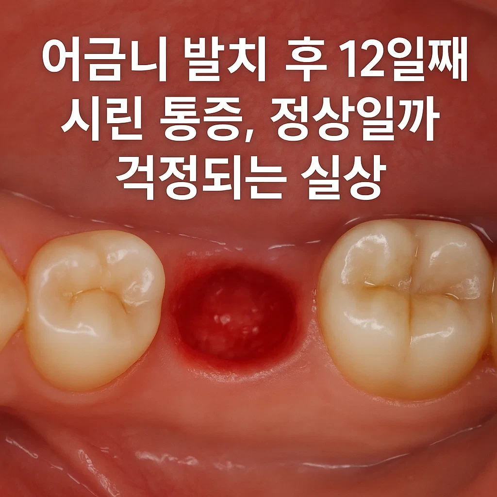 어금니 발치 후 12일째 시린 통증, 정상일까 걱정되는 실상