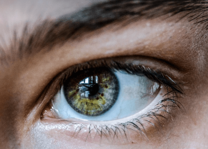 눈에 좋은 음식