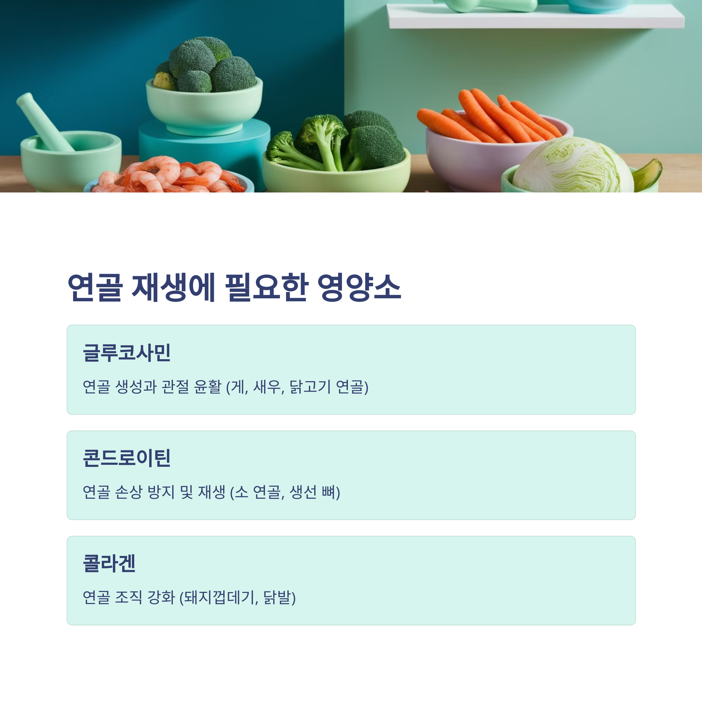 연골에 좋은 음식 (관절염 예방을 위한 필수 영양소)