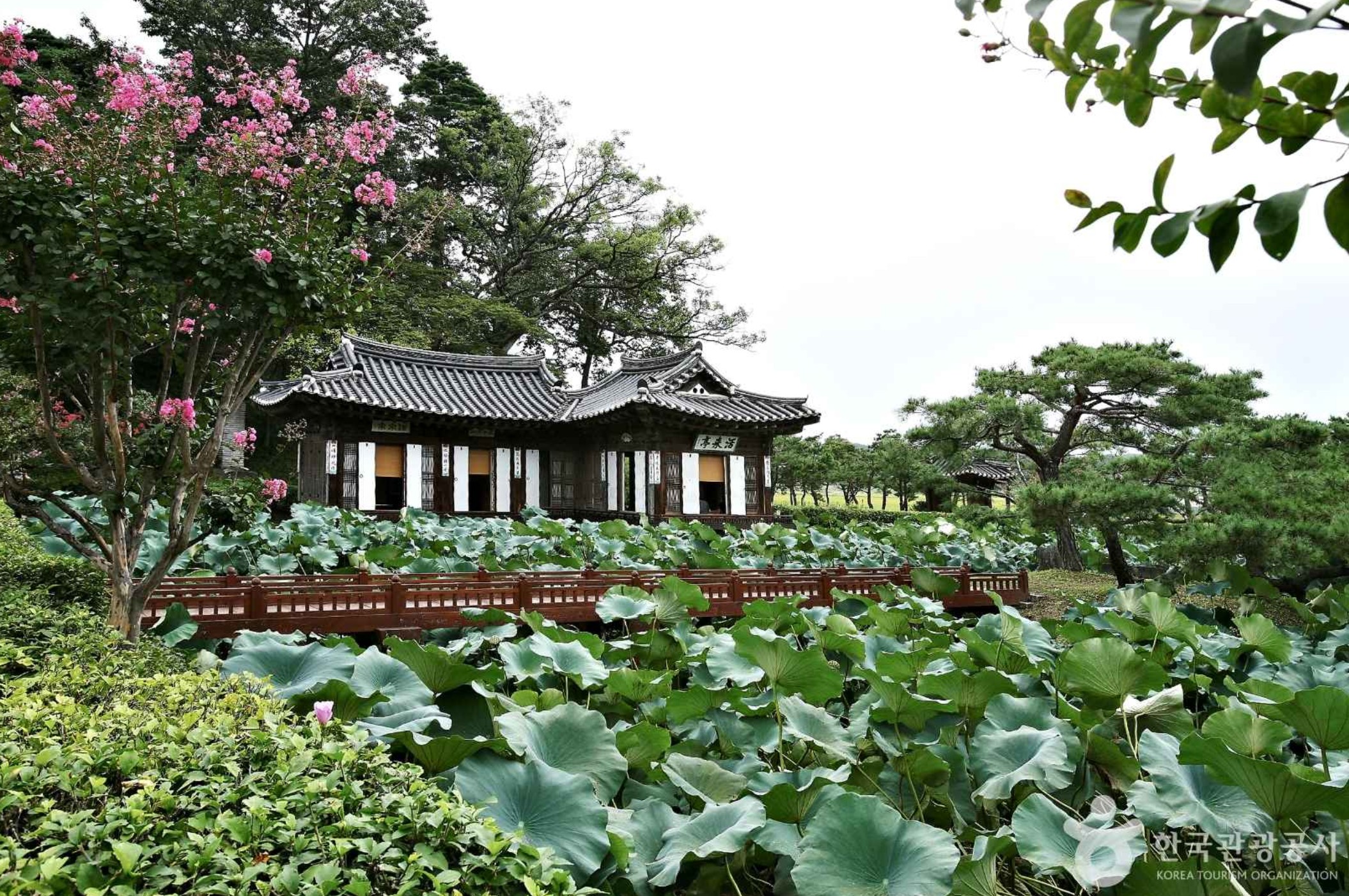 아름다운-강릉-선교장의-풍경