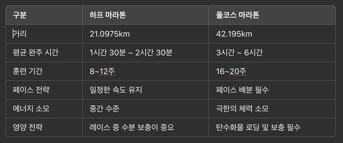 하프 마라톤과 풀코스 마라톤 훈련 차이점 – 완주를 위한 최적의 준비법