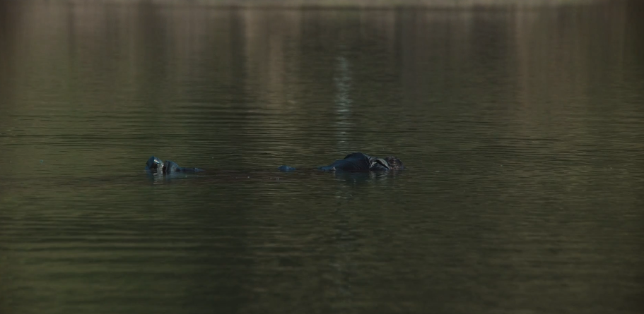 살인자 o난감 4회