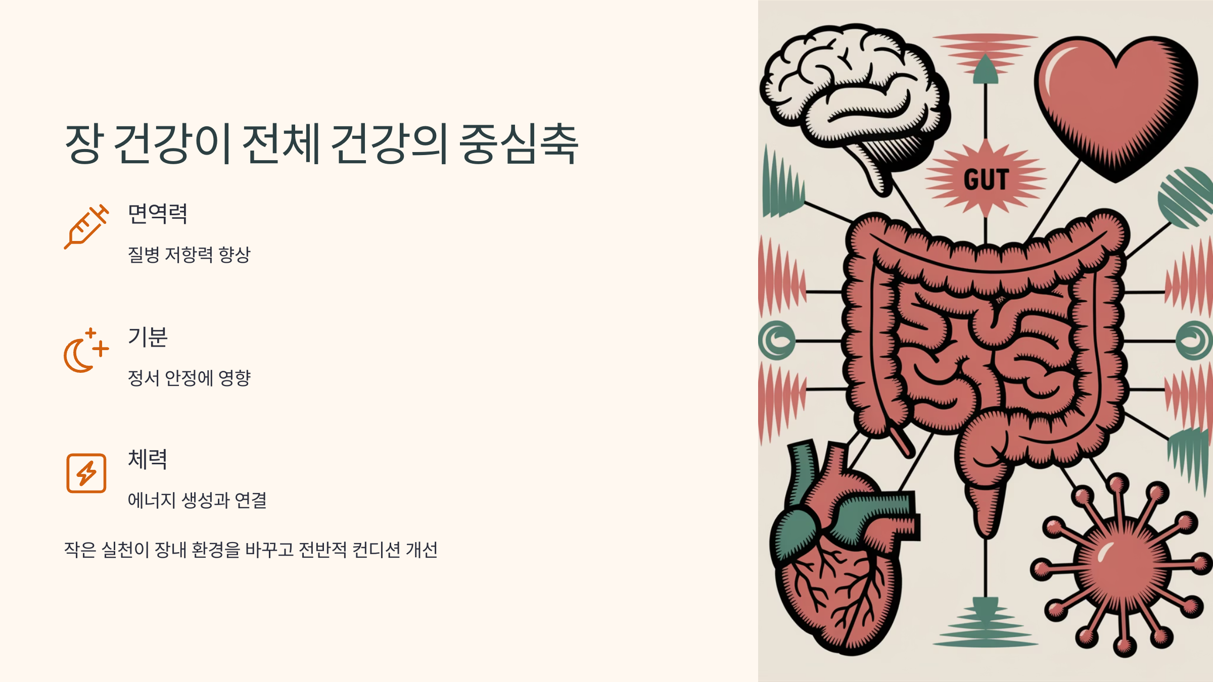장 건강의 중요성 설명