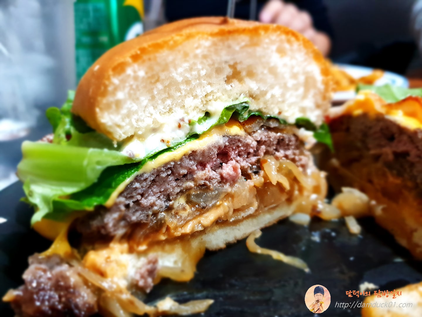 에크리버거 단면