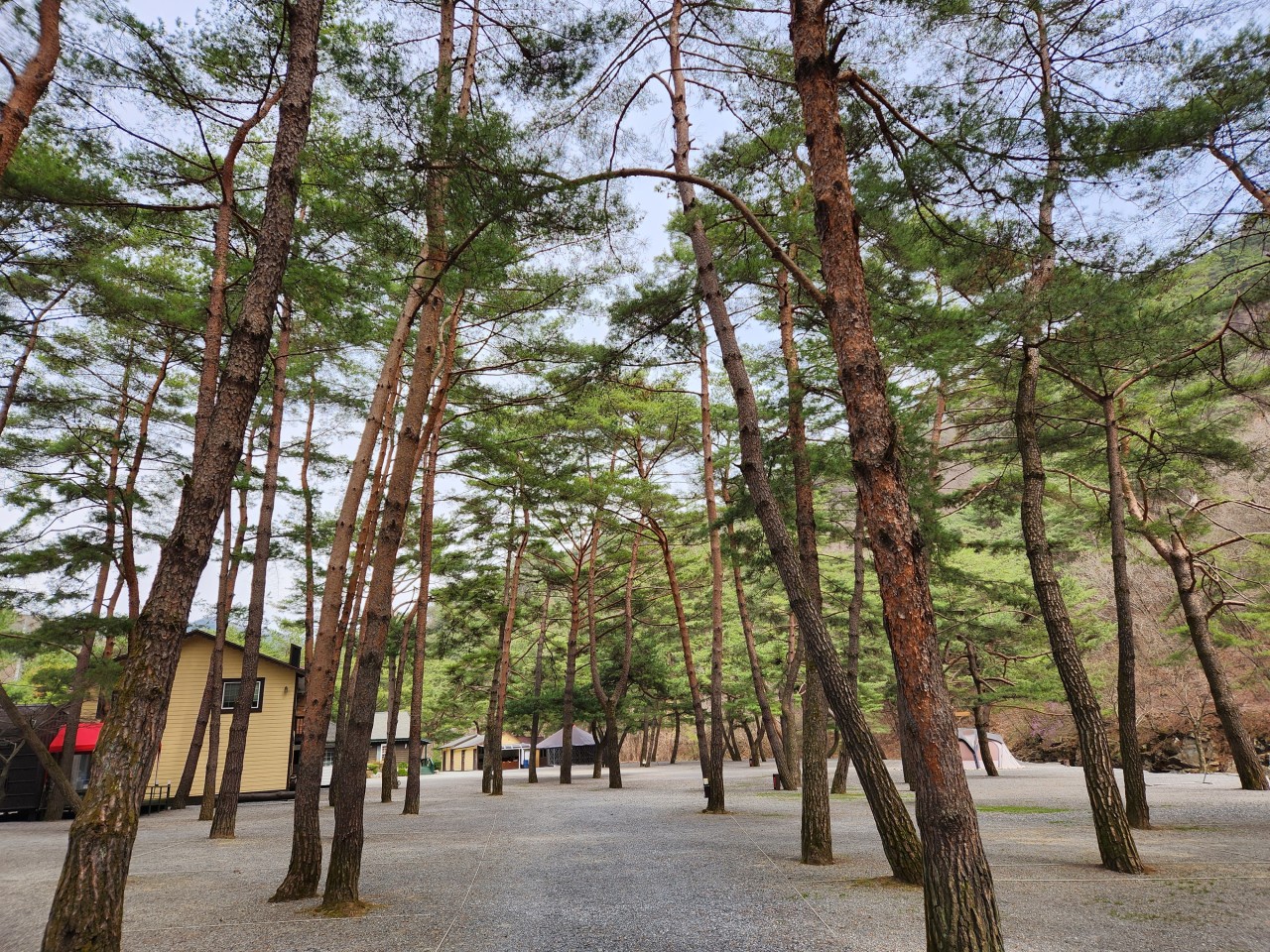 강원도 캠핑장 추천