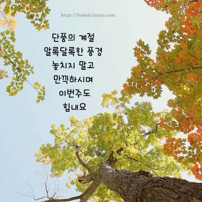 가을 인사 멘트