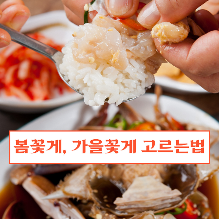 꽃게철-언제