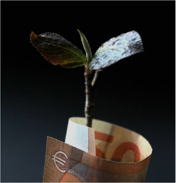 돈에-심어져-있는-새싹