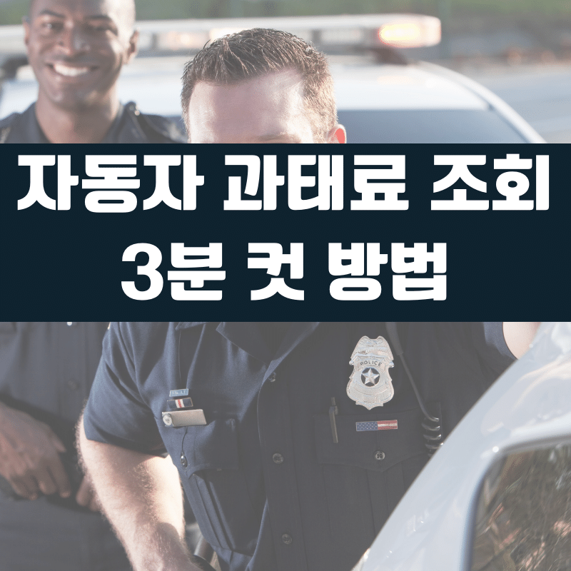 자동차 과태료 조회