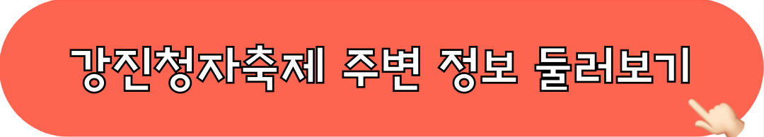 강진청자축제_주변정보_둘러보기