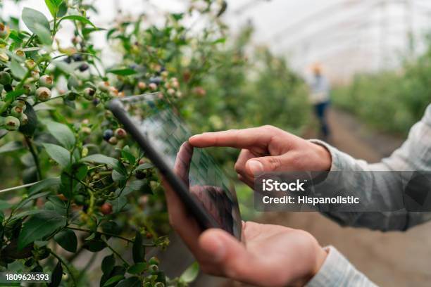 스마트팜을 도심 속 채소로 베란다에서 시작하기