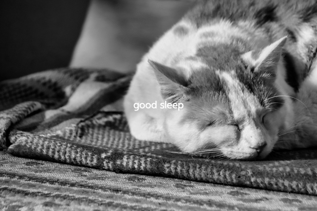 한량, 한량시대, 지적한량, 수면, 피로, 현대인 고질병