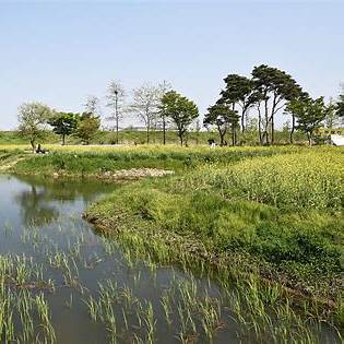 남양주 다산생태공원 카페 차박 맛집 벚꽃 주차장 생태연못 주변 숲속 쉼터 생태습지