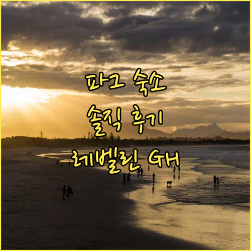 파그 숙소 추천 레벨린 게스트하우스 