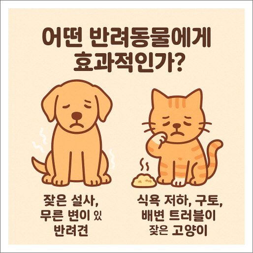 어떤 반려동물에게 효과적인가?