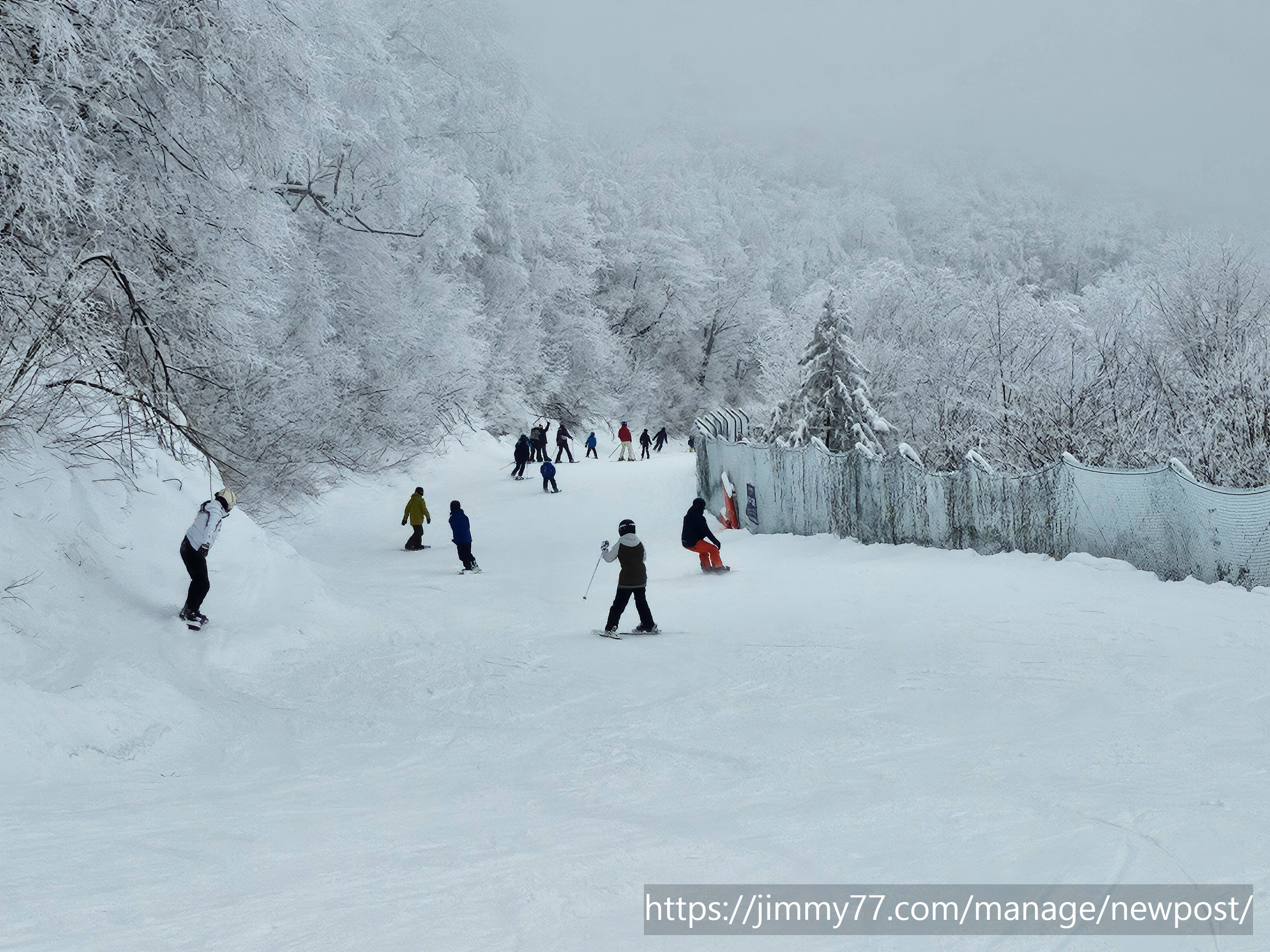 파라다이스코스