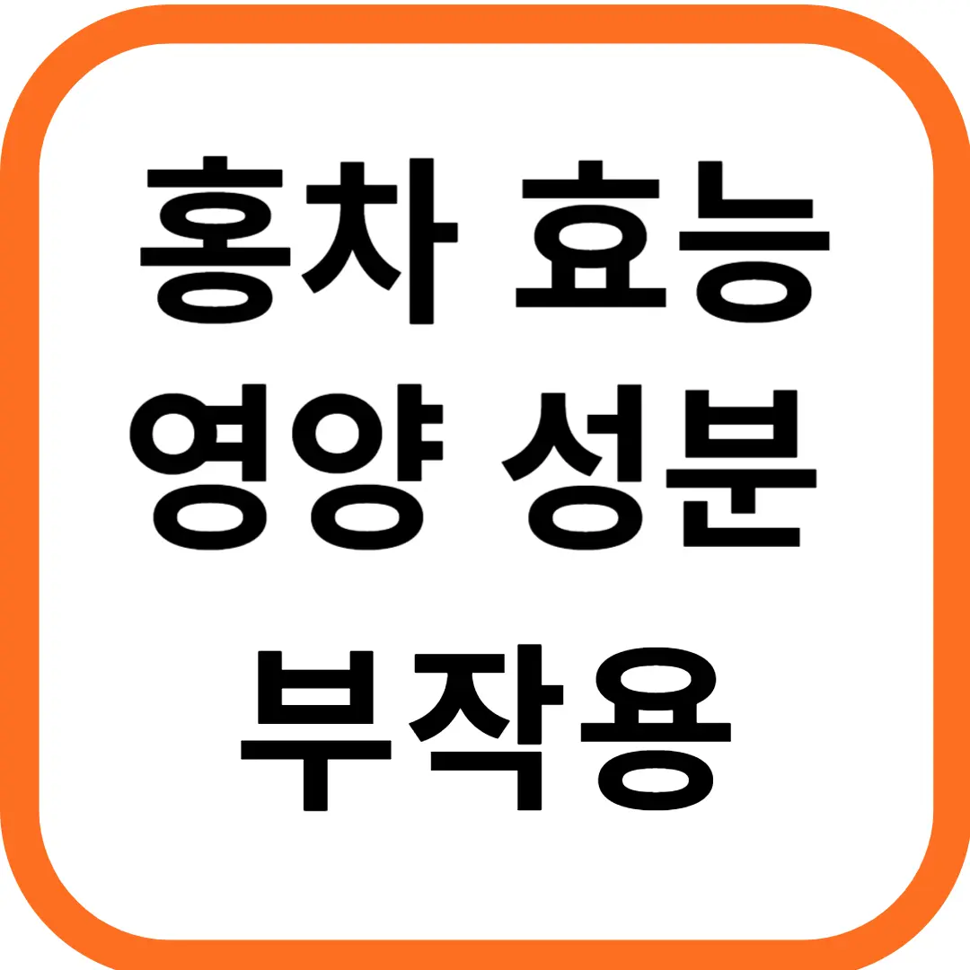 홍차의 효능과 영양성분 부작용