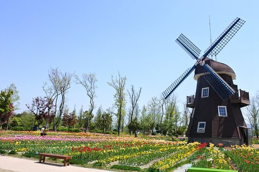 순천만 국가 정원 모습