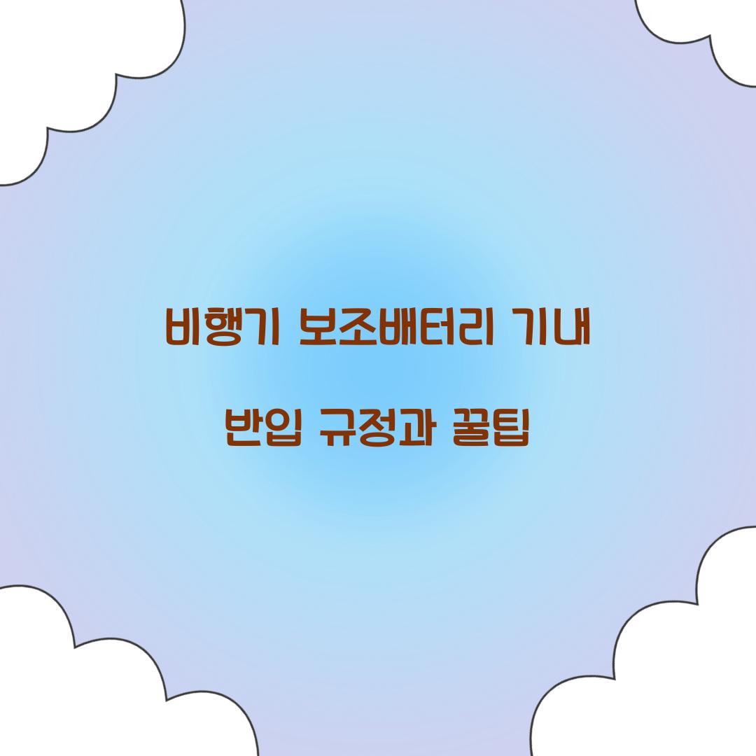 비행기 보조배터리
