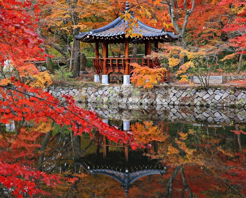 선운사 가을풍경