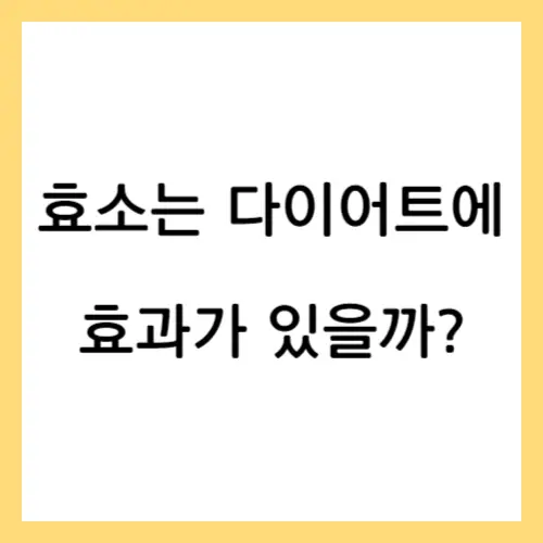 효소 다이어트