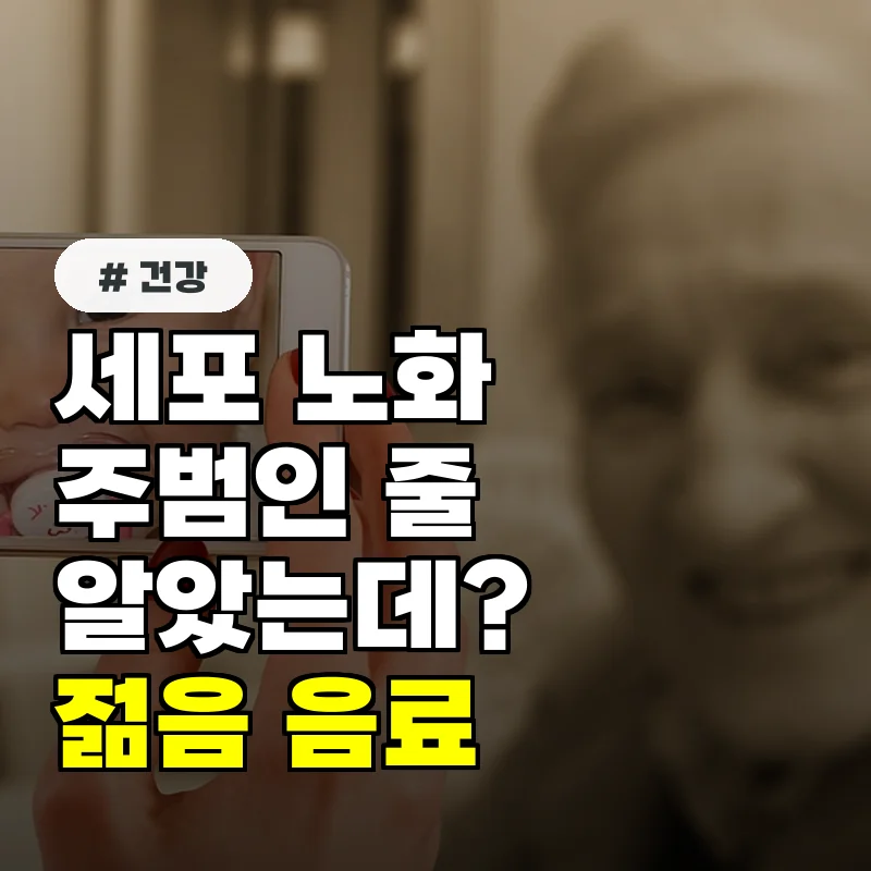 세포 노화의 주범인 줄 알았는데 오히려 젊음을 되찾는 의외의 음료 4가지
