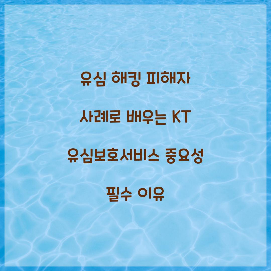 유심 해킹 피해자 사례로 배우는 KT 유심보호서비스 중요성