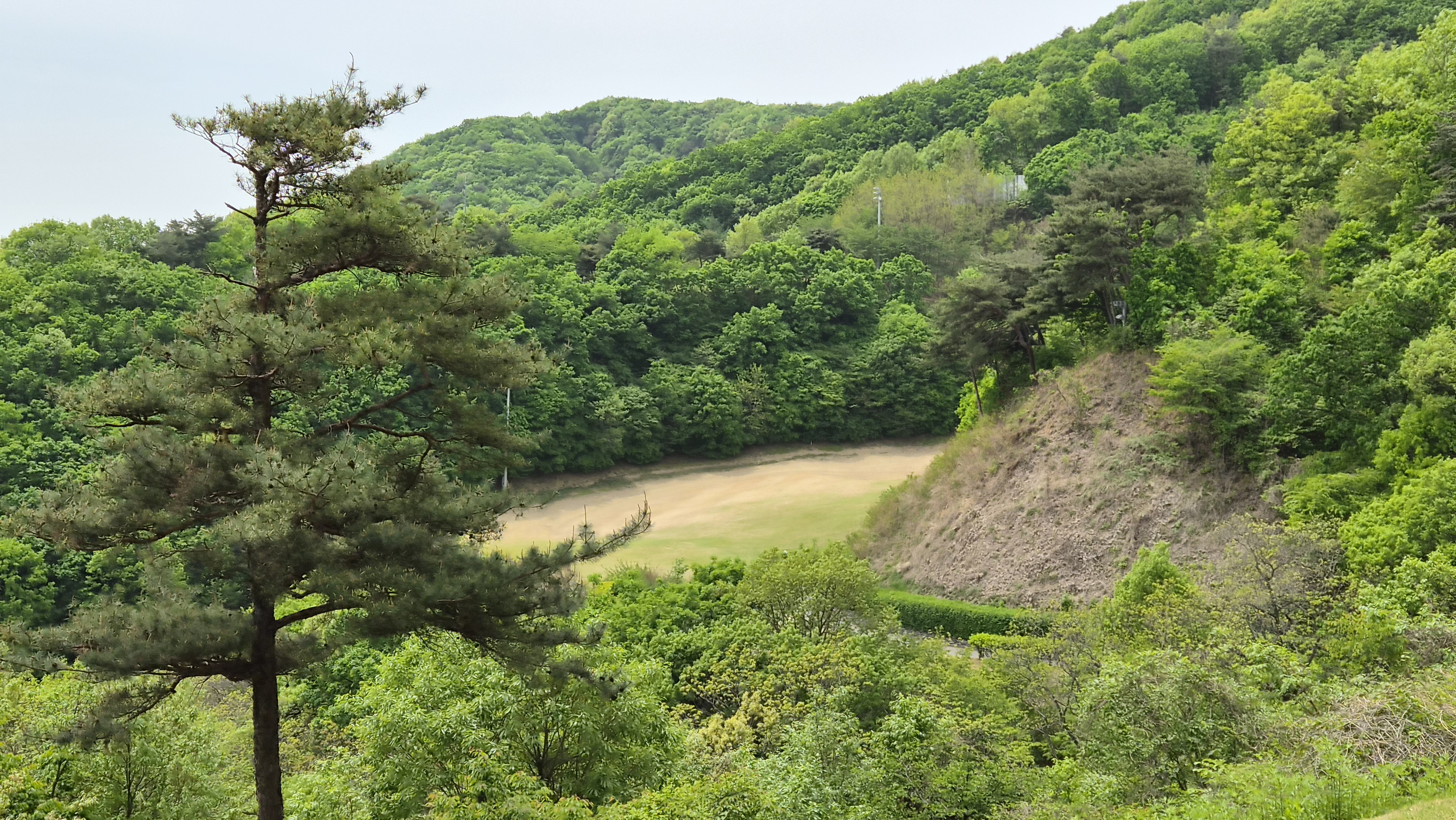 포웰cc 프린세스 코스 사진 및 공략 정보