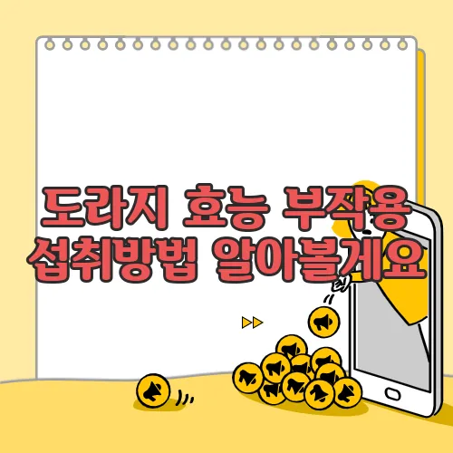 도라지 효능 부작용 섭취방법 알아볼게요