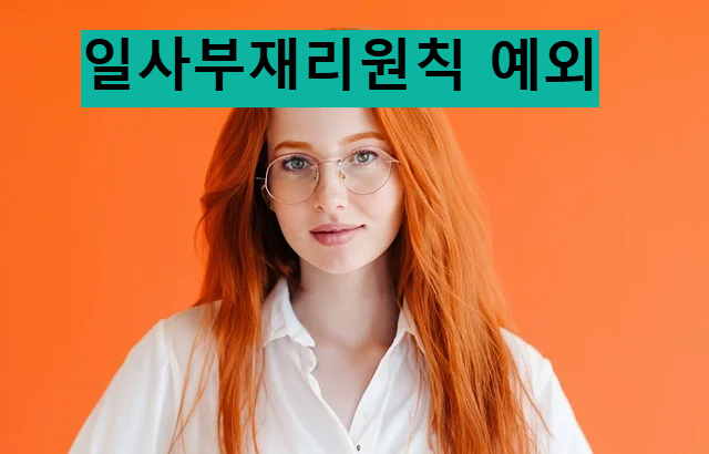 일사부재리의원칙 예외적용되는부분