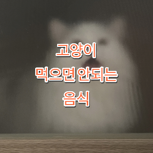 고양이 먹으면 안되는 음식