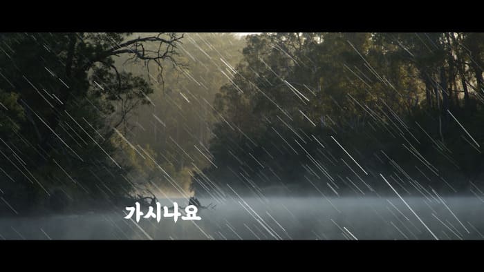 프리미어 프로 비오는 효과 rain 1 푸티지