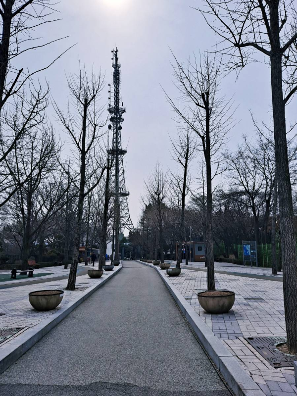 수봉산 송신탑으로 되걷다