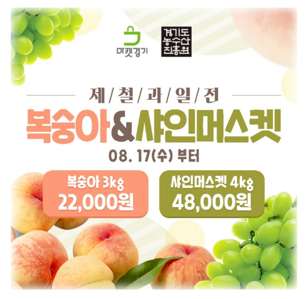 캐시워크 돈버는 퀴즈 정답 - [제철과일 판촉전] 복숭아와 샤인머스캣