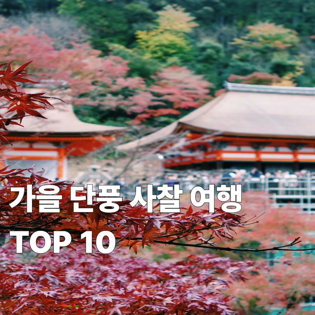 가을 단풍 사찰 여행 🍂 내장사&middot;월정사&middot;불국사 BEST 10