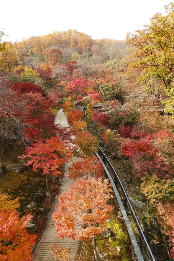 화담숲에 대해서 알려드릴게요
