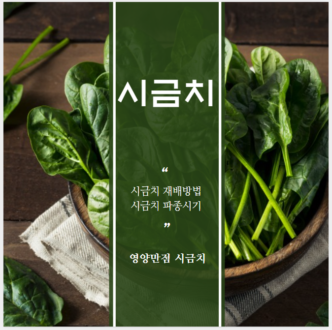 시금치