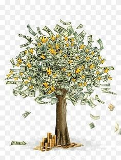 돈-나무-나무잎에-돈아-달린-나무