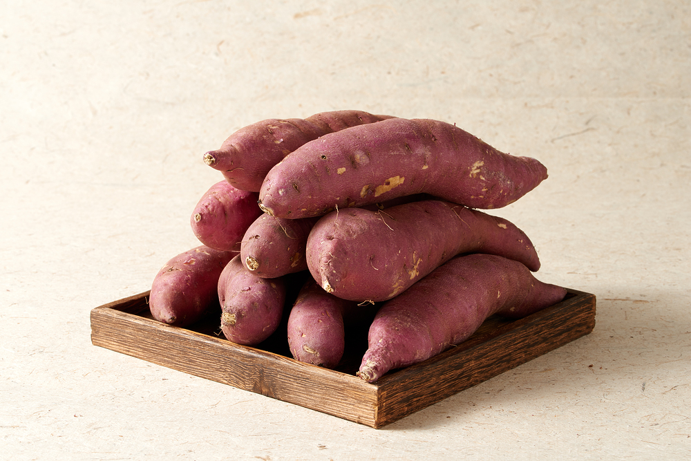 고구마-심는-시기