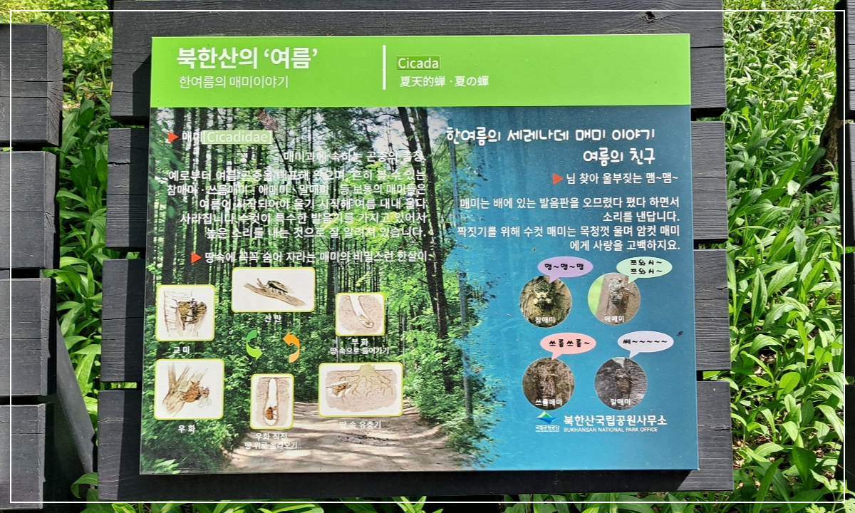 북한산의-여름-안내판