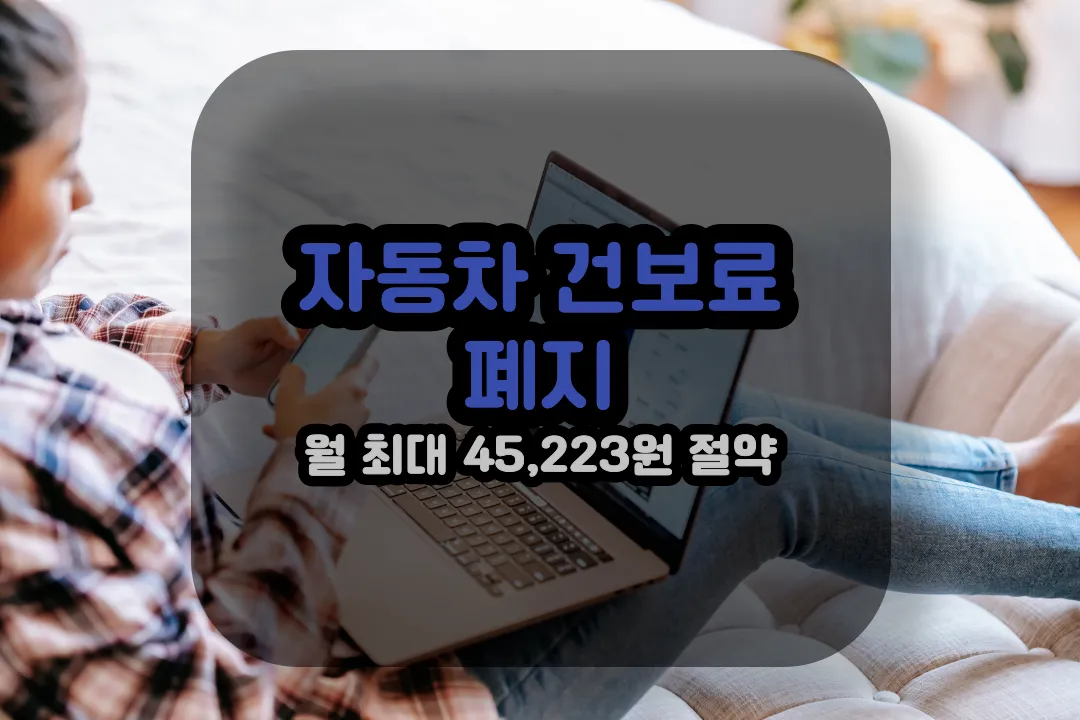 자동차 건강보험료 폐지