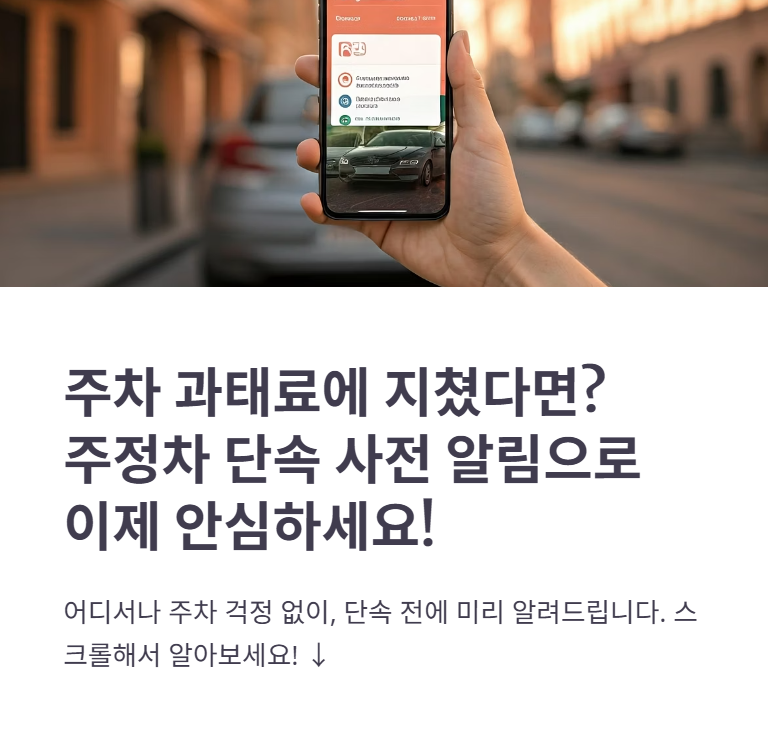 주정차단속 사전 문자알림 서비스 신청 방법과 활용팁!