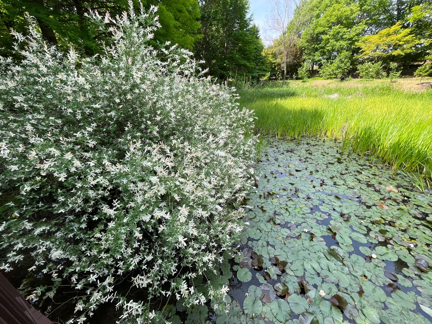 전주 여행 추천 - 전주수목원 소개