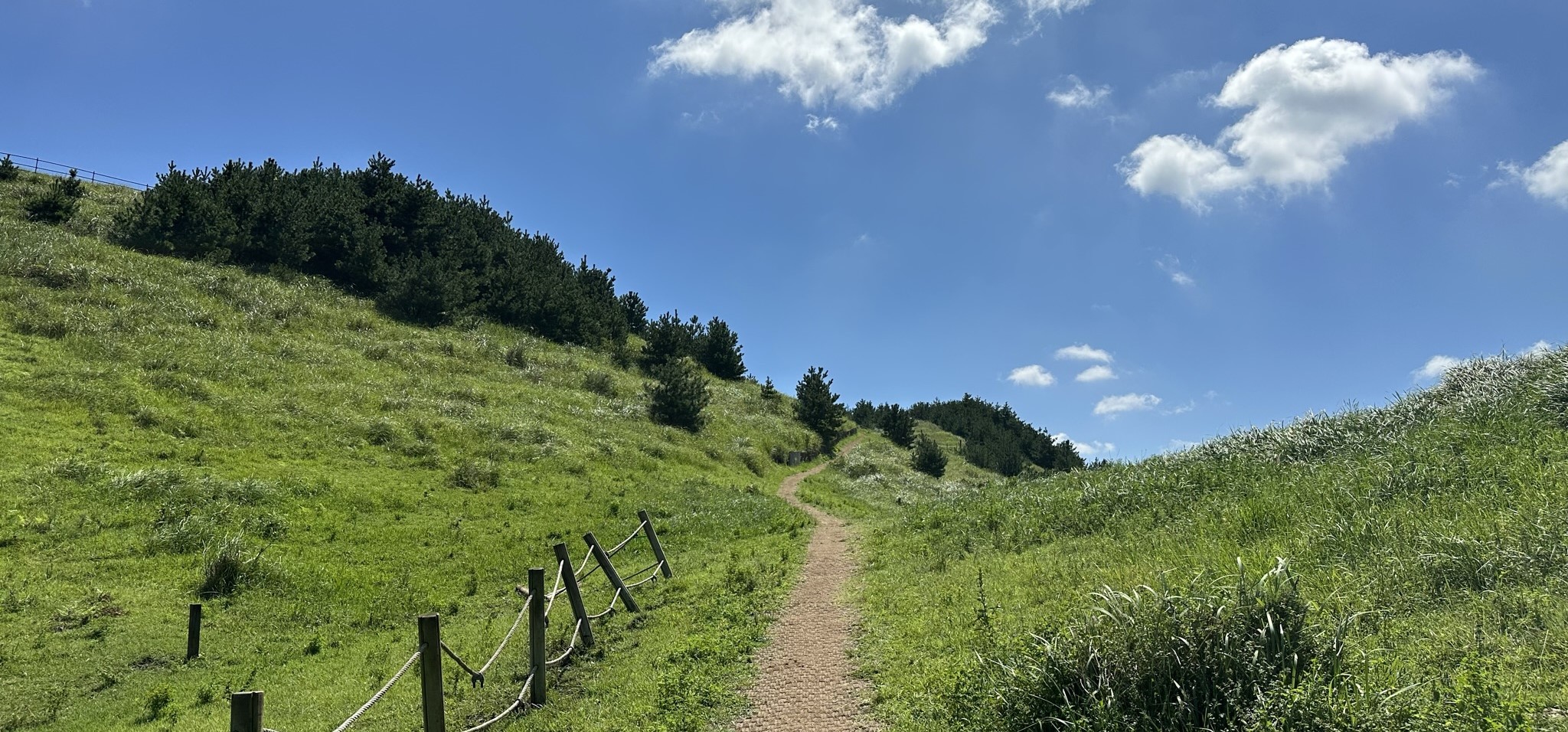 정상으로 올라사는길