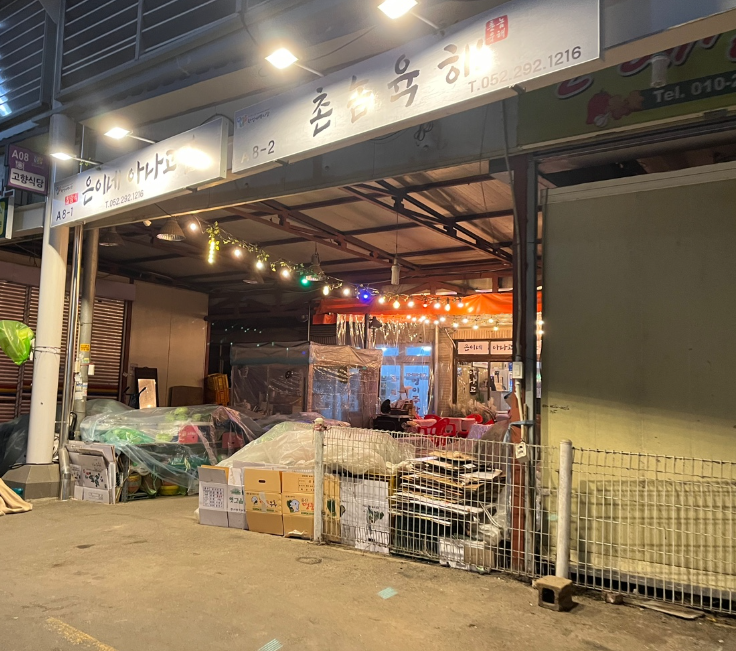 은이네아나고집